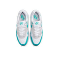 Nike Air Max 1 Shoes